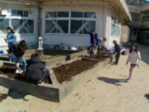 Point Blur_20260311_204932